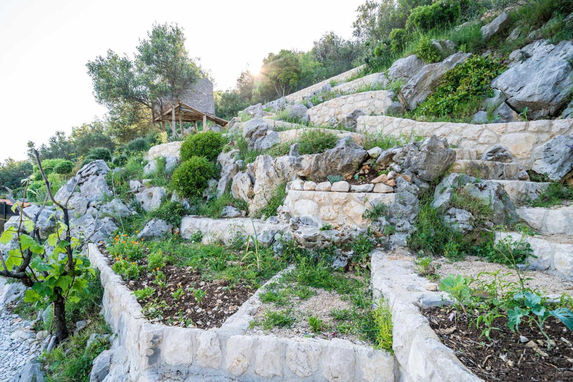 דוברובניק Apartments Villa Arcadia חדר תמונה